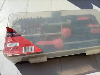 Set Cacciaviti con Punte