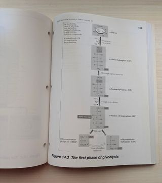 Biochemistry (with Lecture Notebook)