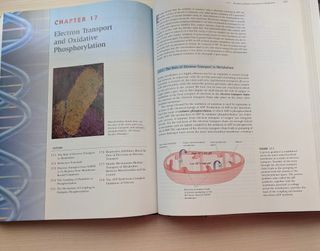 Biochemistry (with Lecture Notebook)