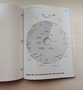 Biochemistry (with Lecture Notebook)