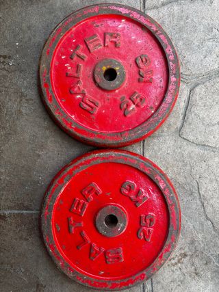 Pareja Discos SALTER 2x25 kg
