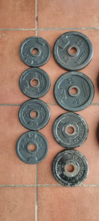 Dischi di pesi per palestra