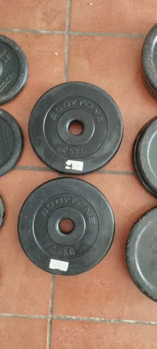 Dischi di pesi per palestra