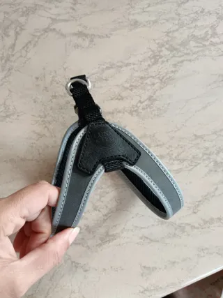 Pettorina cane Luna&Teo