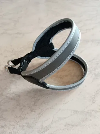 Pettorina cane Luna&Teo