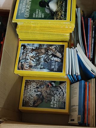 Lote revistas National Geographic