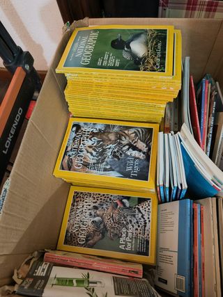 Lote revistas National Geographic