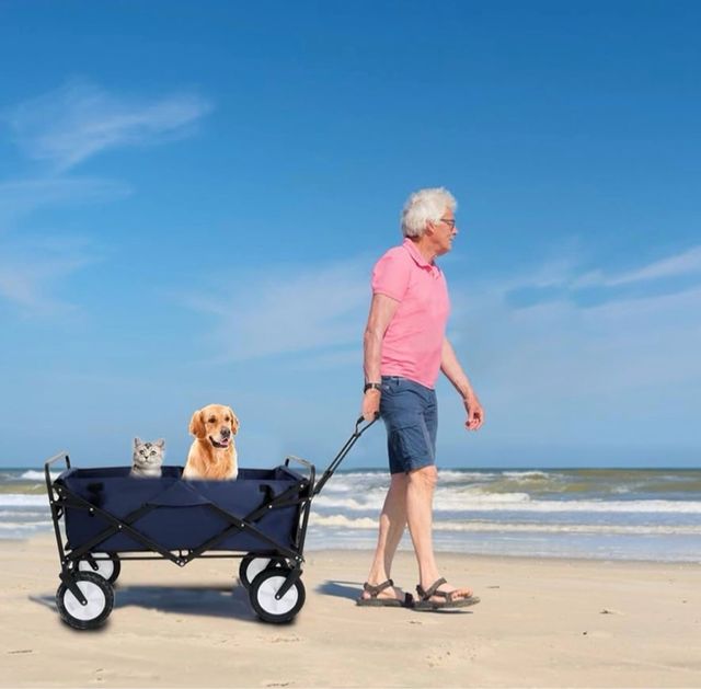 Carro Playa Plegable Novonova Ruedas Grandes/ F2 - miniatura 6