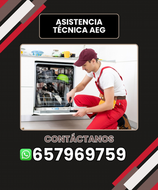 Asistencia técnica AEG
