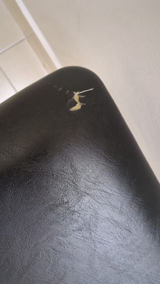 Camilla fija negra uso sanitario