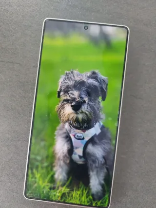 Samsung S25 Ultra 512GB + Galaxy Buds Pro