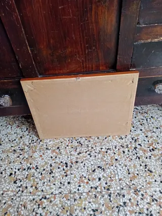 Stampa antica Torino