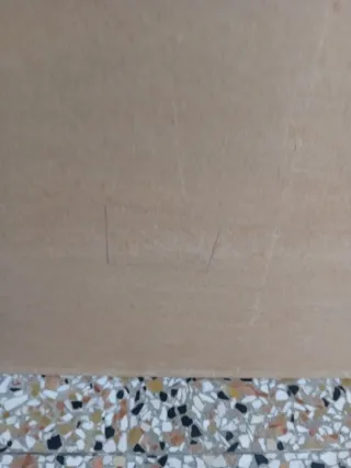 Stampa antica Torino