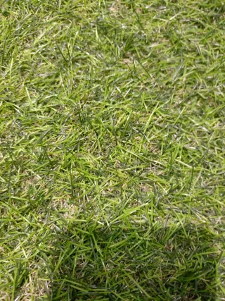 Césped Artificial con Garantía