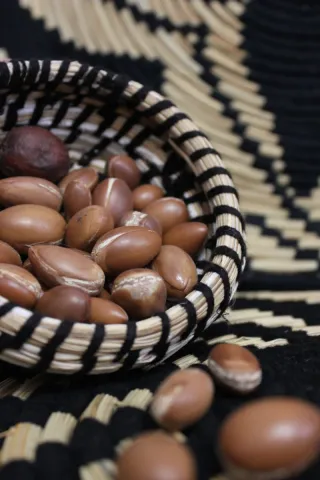 Camilla profesional y material lashista