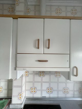 Muebles de cocina: placa, horno, campana y fregade