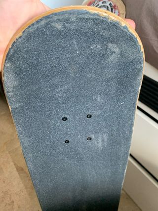 Skate Element Regal Rasta 8