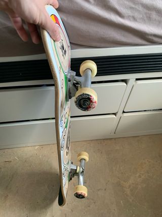 Skate Element Regal Rasta 8