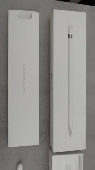Apple Pencil 1ª Generación
