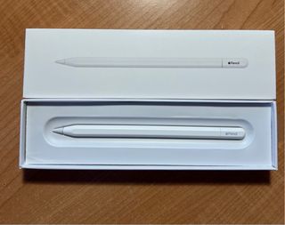 Apple Pencil USB-C Nuevo