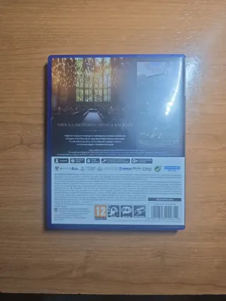 Hogwarts Legacy PS5