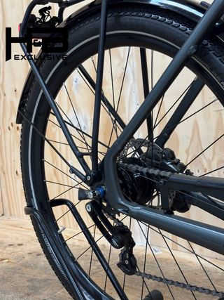 Diamant Opal+ Shimano Nexus 2022