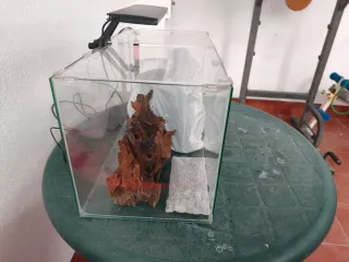 Acuario 60L con accesorios