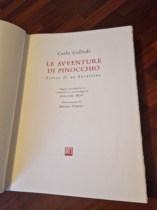 Le Avventure di Pinocchio - Arte