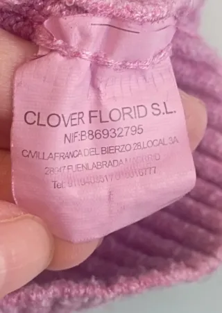 Jersey Clover Florid M