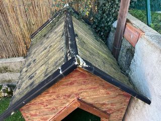 Caseta para perro jardín madera