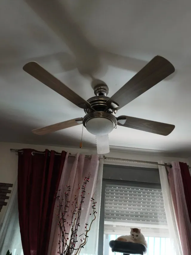 Ventilador de techo CARTAYA con luz