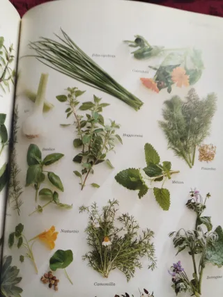 Guida Alla Medicina Naturale Dall'a Alla Z