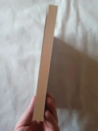 Conan el Intrépido. Steve Perry