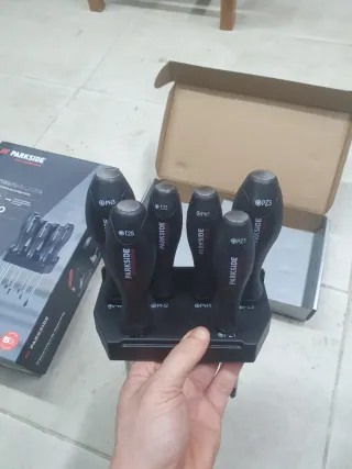 Set 6 Destornilladores Parkside Cinceladores