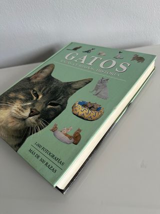 Libro gatos , razas , cuidados , hostoria