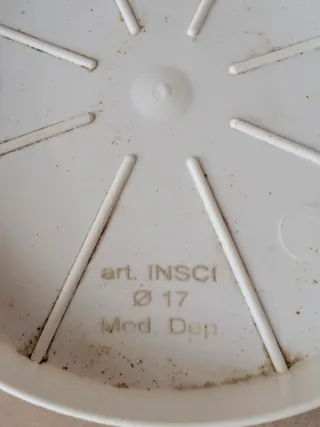 Vasi Bianchi Esterno