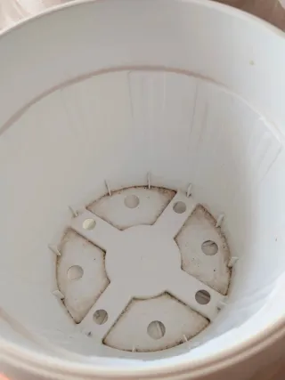 Vasi Bianchi Esterno