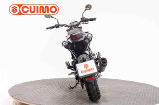 BENELLI LEONCINO 500