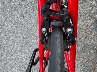 Bicicletta Trek Carbonio