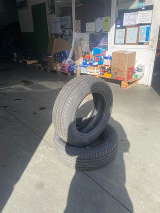 Neumáticos Coche 195/65 R15