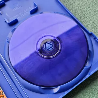 Theme Park World EA Games PS2 PlayStation 2