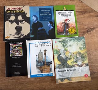 Pack de libros en castellano