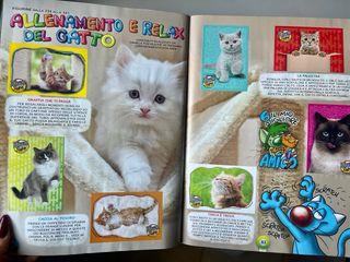 Album Amici Cucciolotti 2024