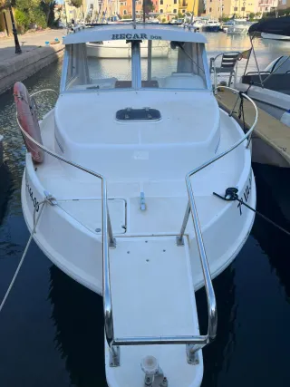 Rodman 700