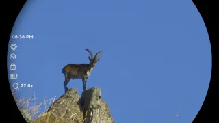 Hikmicro Habrok 4K HE25LN