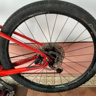 Bicicleta Montagna 29 Rossa Carbonio