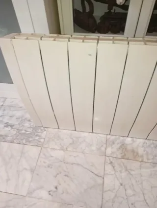 Radiador Ecotec Equation Pro 1500W con sus papeles