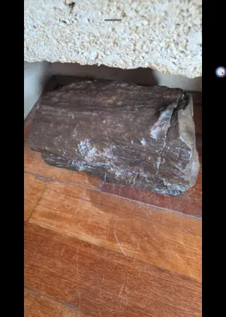 Madera Fósil Decorativa 9.8kg