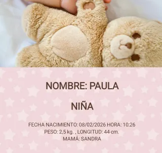 Bambole Reborn in Silicone Platino dipinte a mano