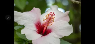 Panasonic Lumix G 45-175 F4-5.6 ASPH.